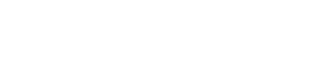 Logo White